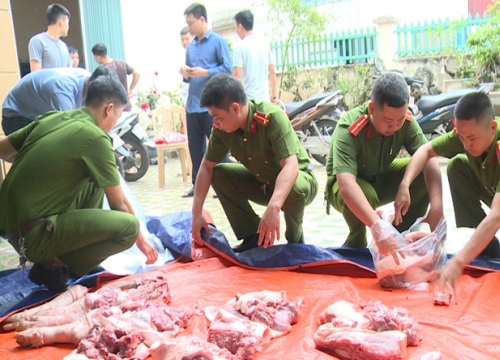 Dịch tả lợn Châu Phi hoành hành, Công an Thái Bình vào cuộc giải cứu