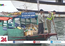 Du lịch không rác thải