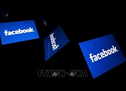 Facebook tiếp tục gỡ bỏ nhiều tài khoản phát tán tin giả trước thềm bầu cử Nghị viện châu Âu