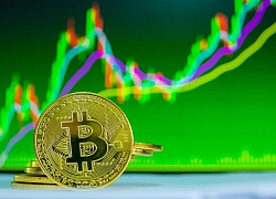 Giá Bitcoin tăng chóng mặt, mong manh tạo đỉnh và bẫy rình rập