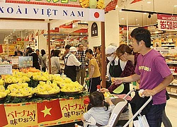 Làm gì để đưa hàng Việt vào hệ thống bán lẻ nước ngoài?