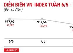 Top 10 cổ phiếu tăng/giảm mạnh nhất tuần 6-10/5