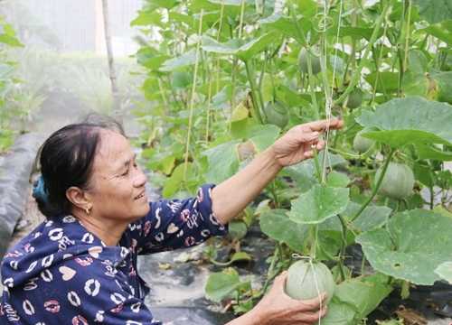 TP Hà Tĩnh nỗ lực để..."không có ai bị bỏ lại phía sau"