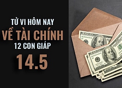 Tử vi hôm nay (14/5/2019) về tài chính của 12 con giáp: Tuổi Hợi làm giàu bằng tài năng thiên bẩm