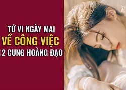 Tử vi ngày mai (15/5) về công việc của 12 cung hoàng đạo: Sư Tử gặp thách thức