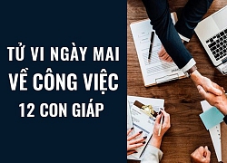 Tử vi ngày mai (15/5/2019) về công việc của 12 con giáp: Tuổi Tý phân vân