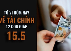 Tử vi ngày mai (15/5/2019) về tài chính của 12 con giáp: Tuổi Tý đừng kì vọng quá nhiều