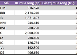 Tuần 6-10/5: Tự doanh CTCK mua ròng gần 250 tỷ đồng, gom mạnh cổ phiếu bluechip