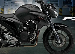 Yamaha Fz-25 Abs 2019 Có Giá Từ 85 Triệu Đồng Tại Việt Nam