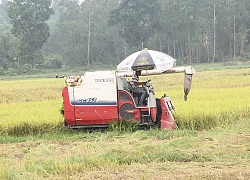 Bắt 3 nghi phạm ép chủ máy gặt lúa nộp 'lệ phí' ở Nghệ An