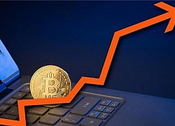 Bitcoin đột ngột tăng phi mã, sẽ lên đỉnh 20.000 USD?