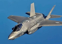 F-22 và F-35 : Người khổng lồ chân đất sét!