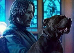 Không cần doanh thu khủng, Keanu Reeves biết ơn vì có "John Wick 3"