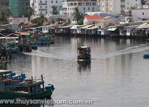 Kiên Giang: "Phá hủy thiên đường chỉ cần vài người ngu ngốc"