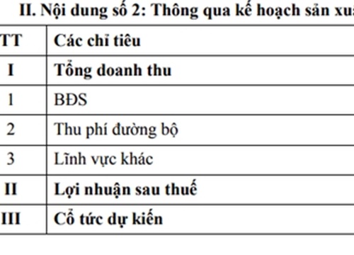 Lỗ liêu xiêu, "ông trùm" BOT Tasco thận trọng đặt kế hoạch năm 2019