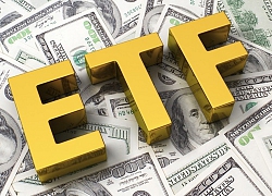 Những 'ứng viên' cổ phiếu có thể được VNM ETF và FTSE ETF thêm vào danh mục