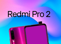 Rò rỉ cấu hình Redmi Pro 2: Chip Snapdragon 855, 3 camera, sạc nhanh 27W