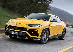 'Siêu bò' Lamborghini Urus chuẩn bị có bản hiệu suất cao Performante