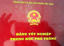 Sử dụng bằng cấp &quot;dỏm&quot;, trưởng phòng giáo dục huyện bị khiển trách