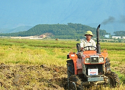 Thiếu nước, hơn 1.000 ha trồng lúa hè thu ở TX Kỳ Anh đành để không!