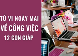 Tử vi ngày mai (16/5/2019) về công việc của 12 con giáp: Tuổi Sửu chưa tạo được chỗ đứng