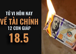 Tử vi ngày mai (18/5/2019) về tài chính của 12 con giáp: Tuổi Mão chọn mạo hiểm thay vì cứng nhắc