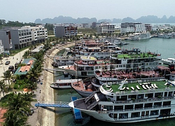 Tuần Châu Marina Xu hướng đầu tư mini hotel tại Hạ Long