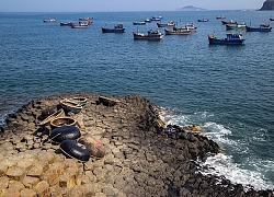 Xứ "Nẫu" Phú Yên đẹp bình dị khiến bạn như "quên lối về"