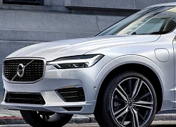 9 mẫu SUV hạng sang an toàn nhất năm 2019