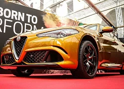 Alfa Romeo Giulia tỏa sáng "chói lọi" với màu sơn Ochre mới