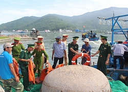 Chung sức gỡ "thẻ vàng" cho thủy sản