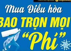 Điện máy Xanh 'một mình một ngựa' bỏ xa cả thị trường