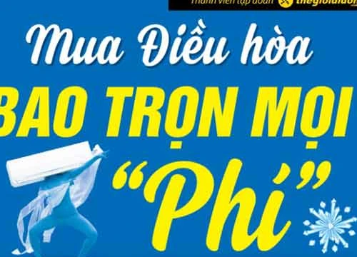 Điện máy Xanh 'một mình một ngựa' bỏ xa cả thị trường