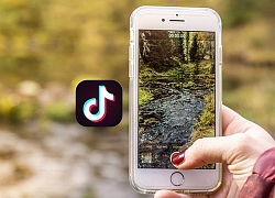 Đứng trên YouTube, TikTok là ứng dụng iOS được tải xuống nhiều nhất trong quý