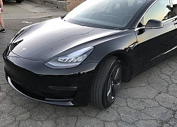 'Mục sở thị" xe điện Tesla Model 3 đầu tiên cập bến Việt Nam