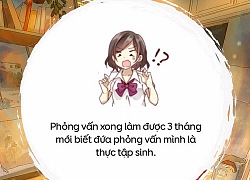 Nghe thiên hạ "tự thú" loạt trải nghiệm dở cười dở khóc khi đi phỏng vấn xin việc, ai cũng thấy sao mà quen ghê