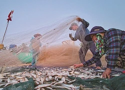 Quy Nhơn trong trải nghiệm tuyệt vời của những phóng viên nước ngoài