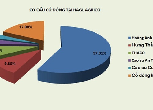 Sau THACO, một giao dịch 37 triệu cổ phiếu HAGL Agrico được sang tay