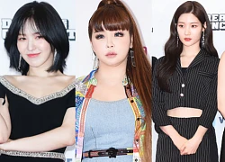 Thảm đỏ Dream Concert 2019: Park Bom lên cân nhưng vẫn chiếm spotlight của Red Velvet và cả dàn nữ thần Kpop