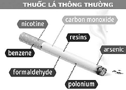 Thuốc lá - Hút loại nào cũng độc hại