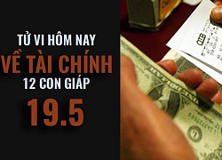 Tử vi ngày (19/5/2019) về tài chính của 12 con giáp: Tuổi Thìn giữ quan hệ hòa hảo với mọi người