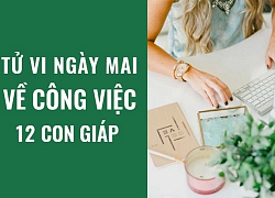 Tử vi ngày mai (19/5/2019) về công việc của 12 con giáp: Tuổi Thìn chớ vòng vo