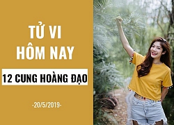 Tử vi ngày mai (20/5/2019) của 12 cung hoàng đạo: Song Tử cởi mở trong các mối quan hệ