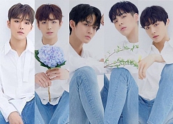 Boygroup của Bae Jin Young công bố tên gọi chính thức, nghe na ná... AB6IX