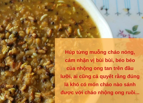 Cháo nhộng ong ruồi vừa bùi vừa béo