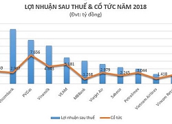 Doanh nghiệp nào "hào phóng" chi hàng nghìn tỷ đồng trả cổ tức năm 2018?