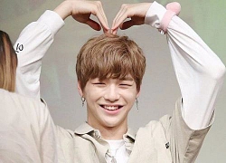 Kang Daniel chiều fan thứ 2 thì không ai dám nhận số 1 đấy nhé!