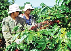 Truy tố đường dây "chạy" chế độ hưu, chiếm đoạt tiền bảo hiểm xã hội