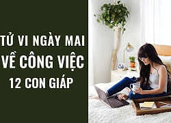 Tử vi ngày mai (22/5/2019) về công việc của 12 con giáp: Tuổi Mùi 'đình công'