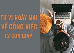 Tử vi ngày mai (24/5/2019) về công việc của 12 con giáp: Tuổi Dậu cần không gian riêng tư